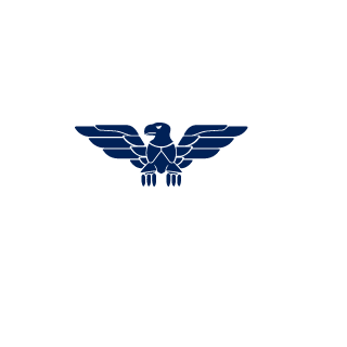 Pr0_gamerbr's emblem