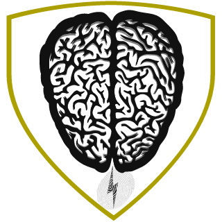 TheSoldierMTF's emblem