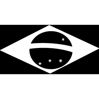 R41SEL's emblem