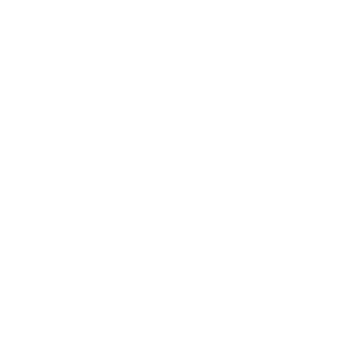 daiBreezy13's emblem