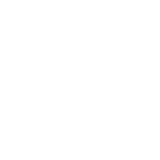 Insanidade69's emblem