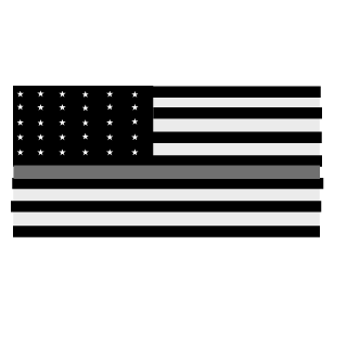 Arma Rifle's emblem