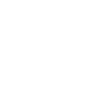 1Vin's emblem