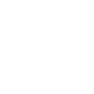Disco_Trucker94's emblem