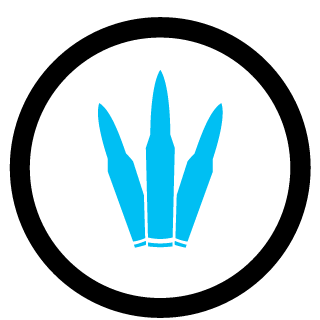 Maphyrum's emblem