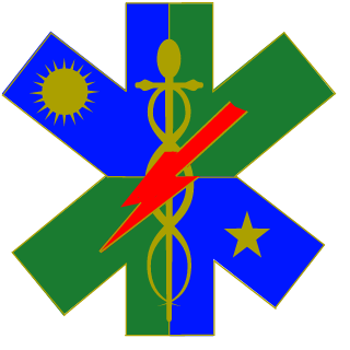 HealsOverKills's emblem