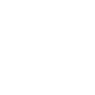 HonestAbe07's emblem