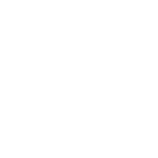 foxfatal1ty's emblem
