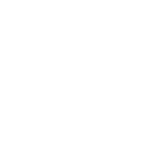 LLSecretChimp's emblem
