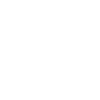 xxiceacexx's emblem
