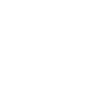 Siny4579's emblem