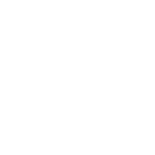 Lt_LeonUK's emblem
