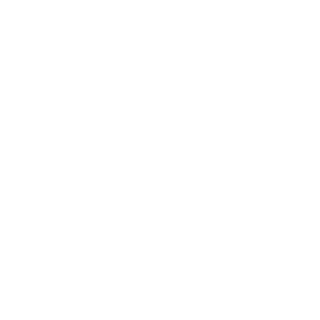 suselnepfe's emblem