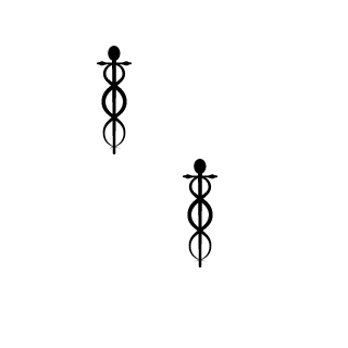 Zelleyzera's emblem