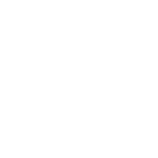 LaRDeN17's emblem