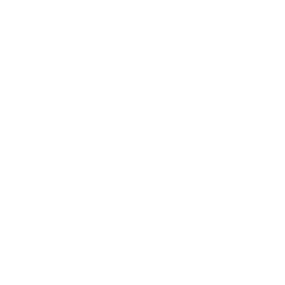 Tachivlogs's emblem