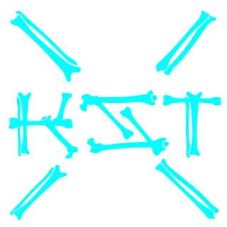 Kostetus-x's emblem