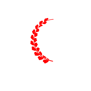SAF_5SIR's emblem