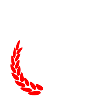 standa555CZ's emblem