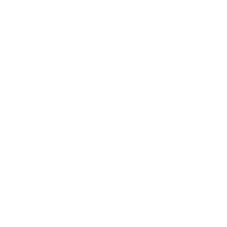 dust258's emblem