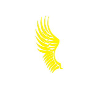 Akos461's emblem