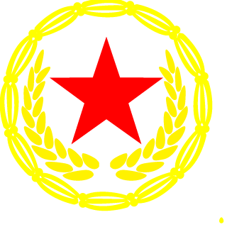 pan100lan_rus's emblem