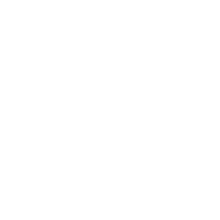 BrianONine's emblem