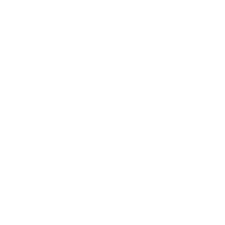 mehmentum's emblem