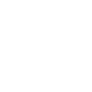 dudedudeeee's emblem