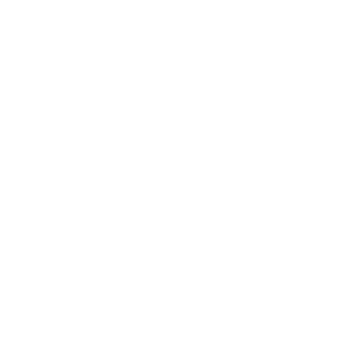 DerIceFlash's emblem