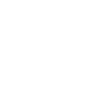 INSIDER2011's emblem