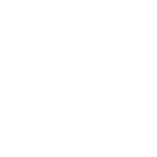 Spartan_Prime8's emblem
