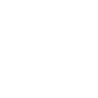 TheLastCortex's emblem