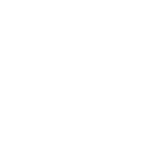 DVSS-Sam's emblem