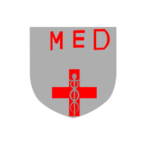 Rook205's emblem