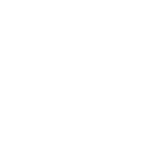 -ARP-BLAZE's emblem