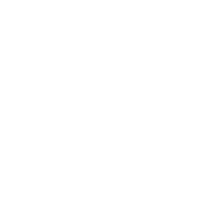 t3ht0ast3r's emblem