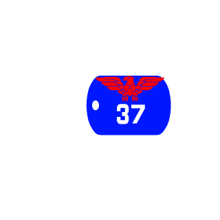 37Maxim37's emblem