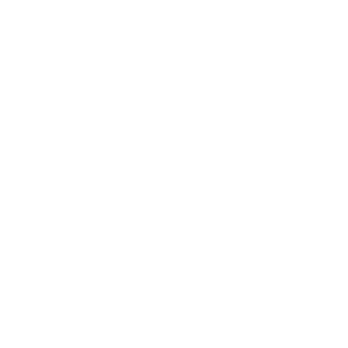 BeeezSquad's emblem