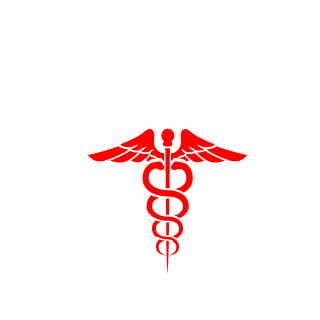 DiscoPoloFUN's emblem