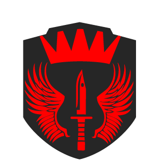 pc1K's emblem