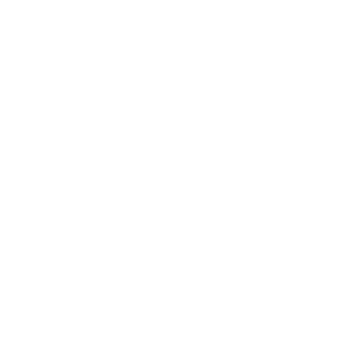 big_lemons21's emblem