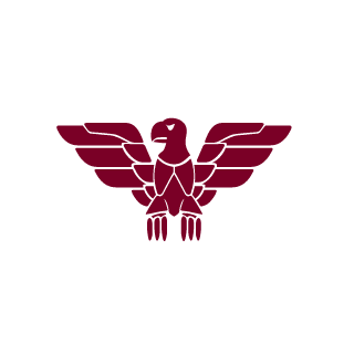 CurandeiroVoador's emblem