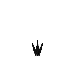 compl6x's emblem