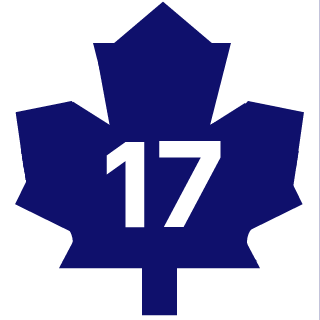 Leafs17's emblem