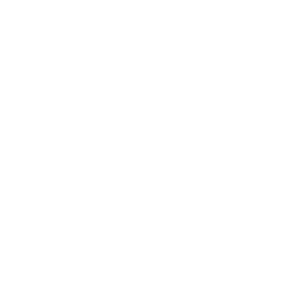 Rynox_FPS's emblem