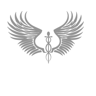 Lidumil_cz_'s emblem