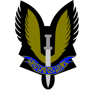 SUPPERlewis11's emblem