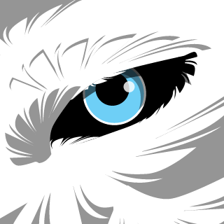wndfl's emblem