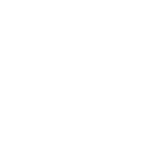 Macino49's emblem